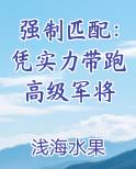 强制匹配：凭实力带跑高级军将