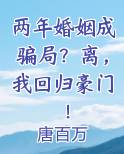 小说结婚两年却等来离婚协议