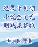 纪琲小说