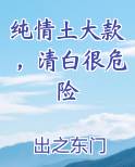 纯情啥意思解释