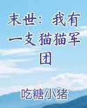 末世：我有一支猫猫军团小说全文免费阅读