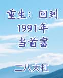 重生：回到1991年当首富