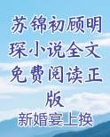 苏锦初顾明琛小说全文免费阅读正版