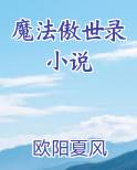 魔法傲世录 小说