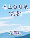 冰上的月光