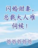 闪婚甜妻，总裁大人难伺候！