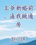 王爷新婚前，逼我做通房