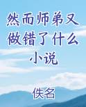 然而师弟又做错了什么小说