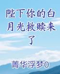 陛下你的白月光救赎来了