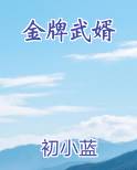 金牌武婿