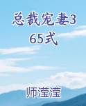 总裁宠妻365式