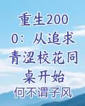 重生2000：从追求青涩校花同桌开始