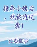 投奔小姨后，我被迫逆袭1