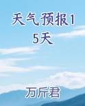天气预报15天