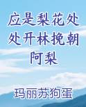 应是梨花处处开林挽朝阿梨