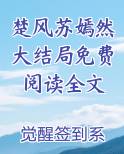 楚风楚嫣然是什么小说