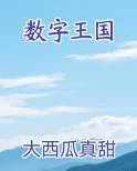 数字王国