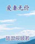 爱妻啥意思