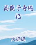 高傻子奇遇记