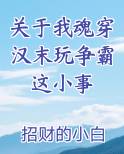关于我魂穿汉末玩争霸这小事