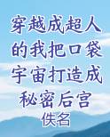 穿越成超人的我把口袋宇宙打造成秘密后宫