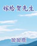 嫁给贺先生