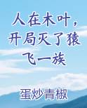 人在木叶，开局灭了猿飞一族小说全文免费阅读