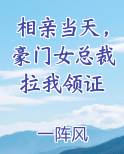 相亲遇到女总裁小说
