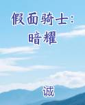 假面骑士：暗耀