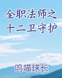 全职法师之十二卫守护