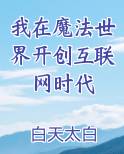 我在魔法世界开创互联网时代