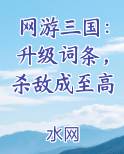 网游三国：升级词条，杀敌成至高