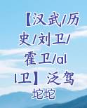 汉武大帝刘卫汉武旧事