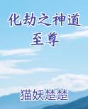 化劫之神道至尊