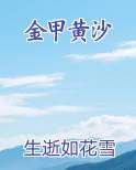 金甲黄沙