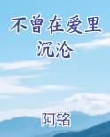 不曾在爱里沉沦是什么歌