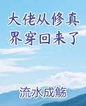 大佬从修真界穿回来了