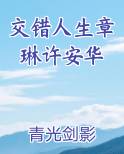 交错人生章琳许安华