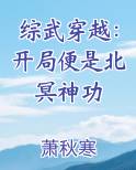 综武穿越：开局便是北冥神功