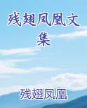 折断翅膀的凤凰