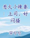 惹火小辣妻：上司，好闷骚