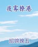 夜雾撩港