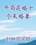 开局退婚十个未婚妻下载TXT