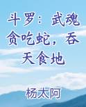 武魂吞天鼎的小说