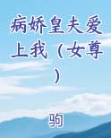 病娇皇夫爱上我（女尊）