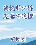 偏执邢少娇宠妻许晚橙