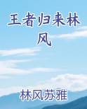 王者归来林风