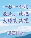一秒一个技能点，我把火球变禁咒