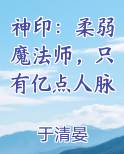 神印：柔弱魔法师，只有亿点人脉