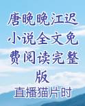 女主角唐晚晚小说全集